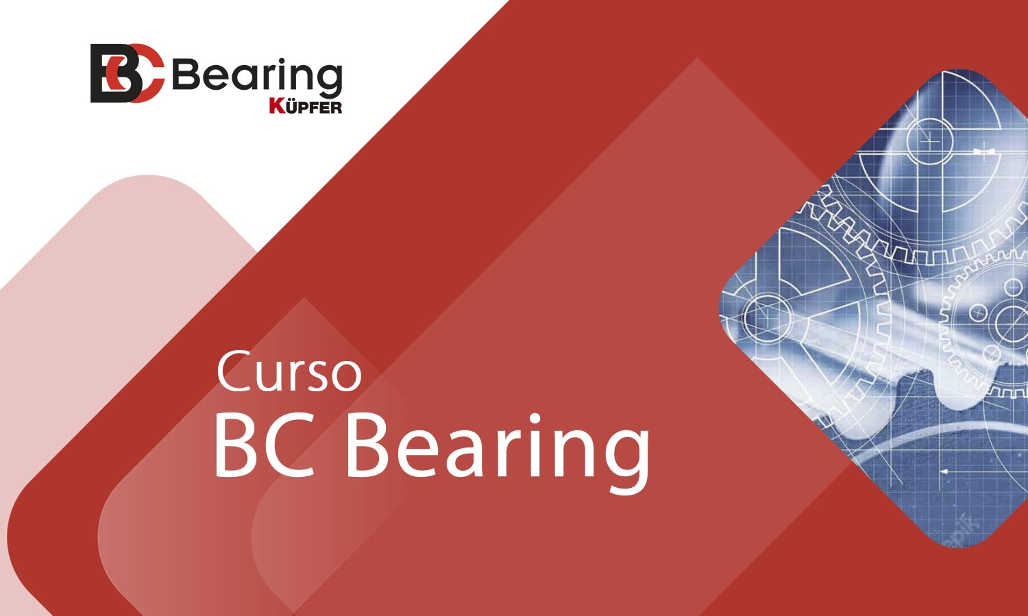 Curso BC Bering